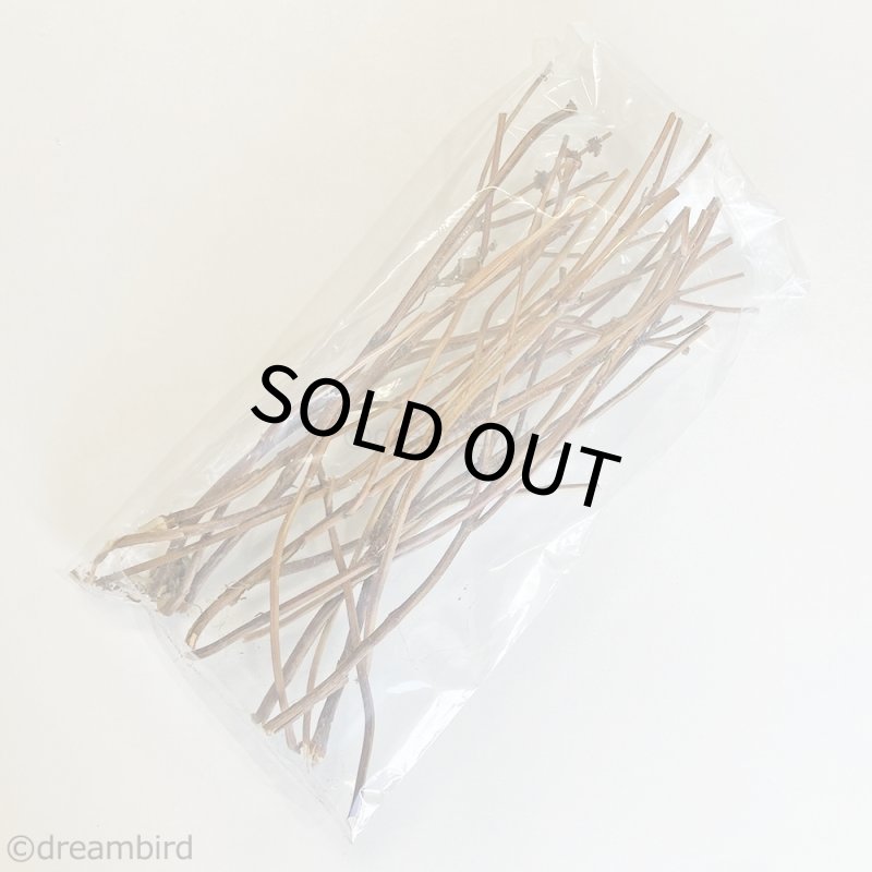 画像3: CAP! 農薬・化学肥料不使用のハーブ 【ホーリーバジル】カリカリスティック　※枝※★ (3)