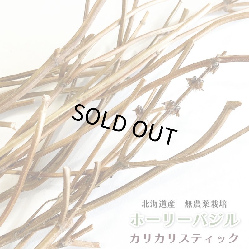 画像1: CAP! 農薬・化学肥料不使用のハーブ 【ホーリーバジル】カリカリスティック　※枝※★ (1)