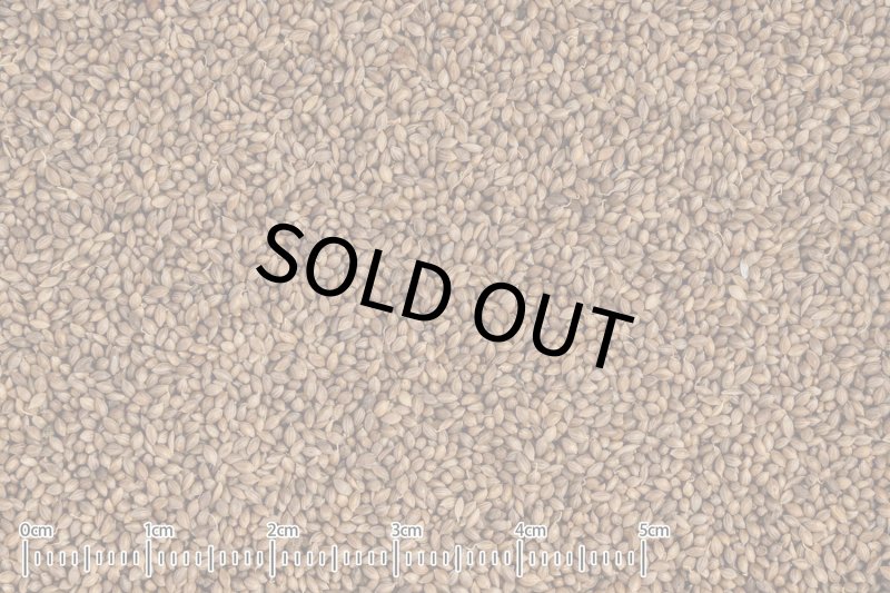 画像2: CAP! 鳥の餌 賞味期限2027/3/31【黒瀬ペットフード】自然派宣言 皮つきフォニオ 120g ※大袋※ (2)