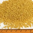 画像3: 賞味期限:2025/11/30【ベタファーム】フィンチバジークランブルズ 450g VETAFARM (3)