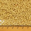 画像3: 賞味期限:2026/1/31【ベタファーム】メインテナンスペレット MD 350g VETAFARM (3)