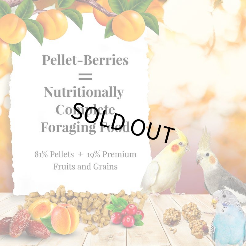 画像5: CAP! 鳥の餌 賞味期限2026/11/22 ラフィーバー ペレットベリー スモールバード（旧：オカメインコ） 10oz（284g）　 (5)