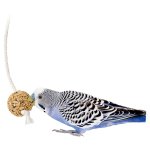 画像4:  食べるおもちゃ 【マルカン】MB-421インコのシリアルボール カルシウムプラス (4)