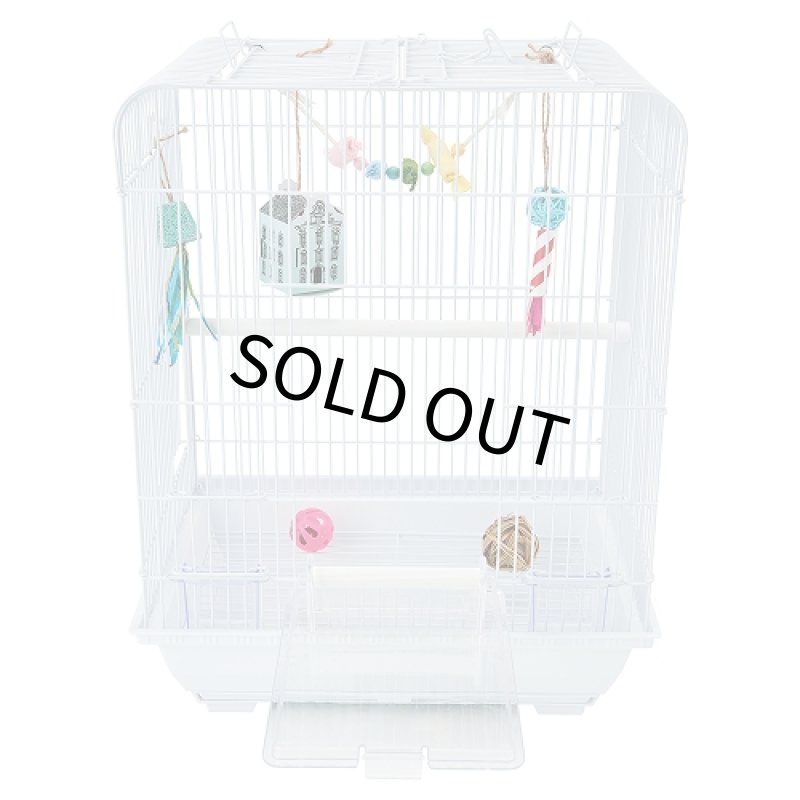 画像7: たくさん遊べる♪ 【マルカン】バードカーニバル ごほうびボックス (7)