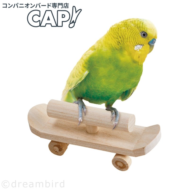 画像1: 小鳥専用スケートボード 【マルカン】MB-382バードパレス バードボード (1)