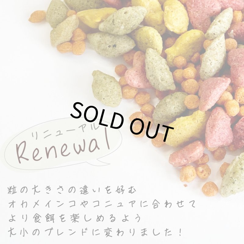 画像2: CAP! 鳥の餌 賞味期限2026/7/20【ヒギンズ】インチューンナチュラル コニュア＆オカメインコ 2LB(0.91kg) 30250 (2)