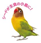 画像3: CAP! 小鳥用栄養補助食品 賞味期限2026/9/30【SANKO】F451 ウェルバランス 小鳥のためのビタミンミネラル (3)