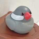 画像9: CAP! 小鳥雑貨【bitte】トリの巣 輪ゴムホルダー (9)