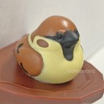 画像11: CAP! 小鳥雑貨【bitte】トリの巣 輪ゴムホルダー (11)