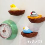 画像6: CAP! 小鳥雑貨【bitte】トリの巣 輪ゴムホルダー (6)