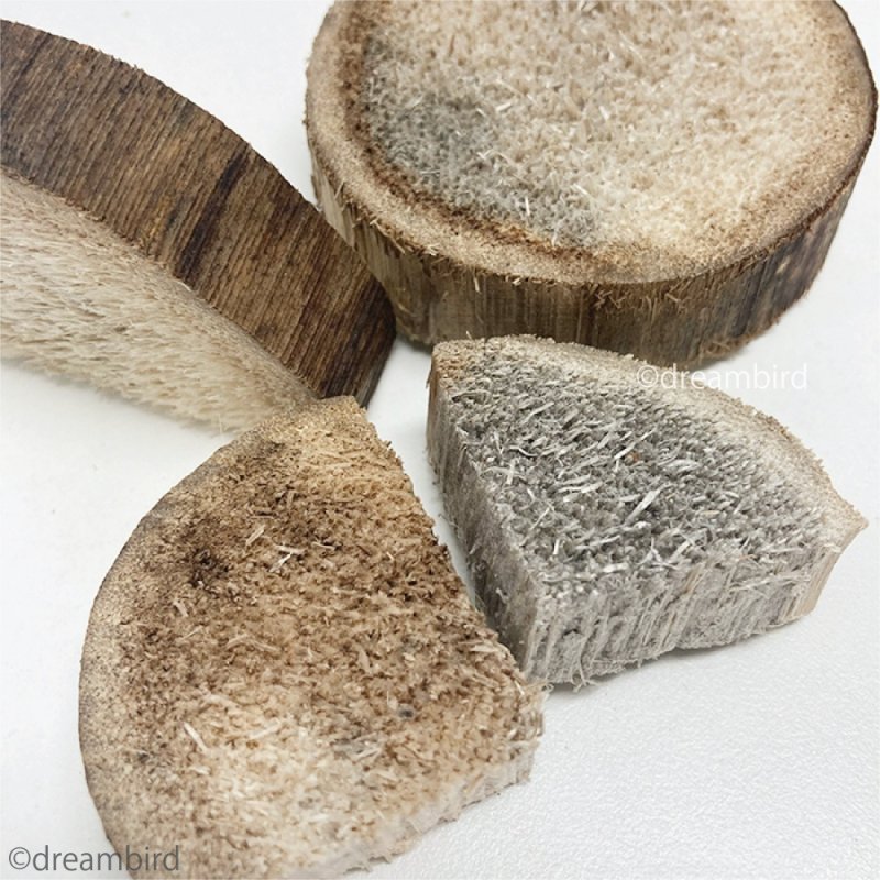 画像2: バードカバブ Yucca PARROT CHIPS 117387 (2)