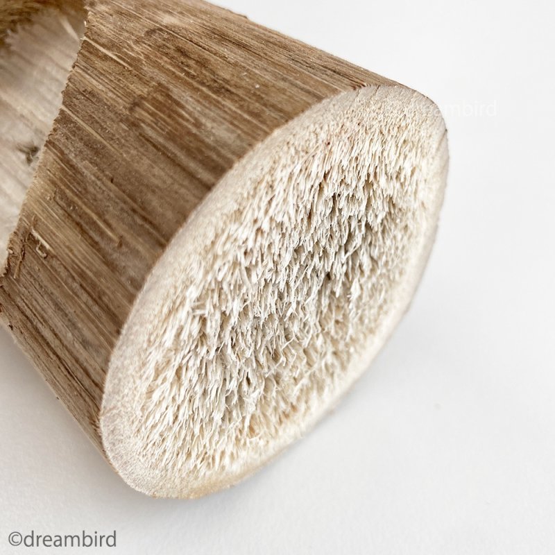 画像3: カバブ BUNNY BLAST mini 20053【1個入】※バニーブラスト ミニ※ (3)