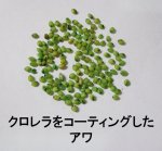 画像6: CAP! 鳥の餌 賞味期限2026/9/30 黒瀬ペットフード マニア ブンチョウ専用 1L（約680g） (6)