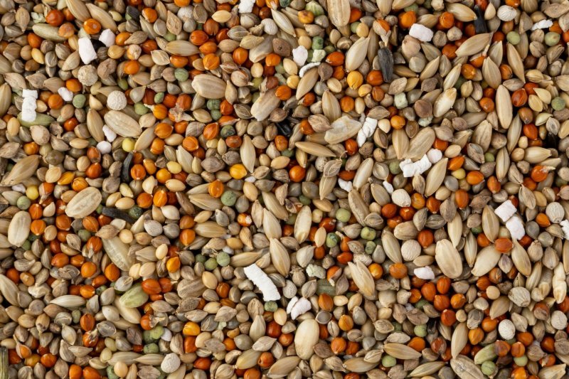 画像2: CAP! 鳥の餌 賞味期限2026/9/30 黒瀬ペットフード マニア ブンチョウ専用 1L(約680g) (2)