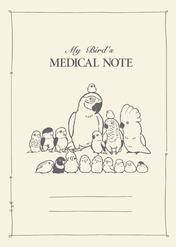 画像1: CAP! 鳥雑貨 aoamo】MEDICAL NOTE （カバーあり）★ (1)