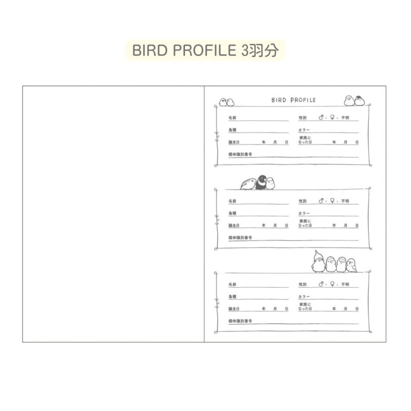 画像4: CAP! 鳥雑貨 aoamo】MEDICAL NOTE （カバーあり）★ (4)