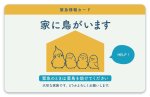 画像1: CAP! 鳥雑貨 【aoamo】鳥用緊急情報カード★ (1)