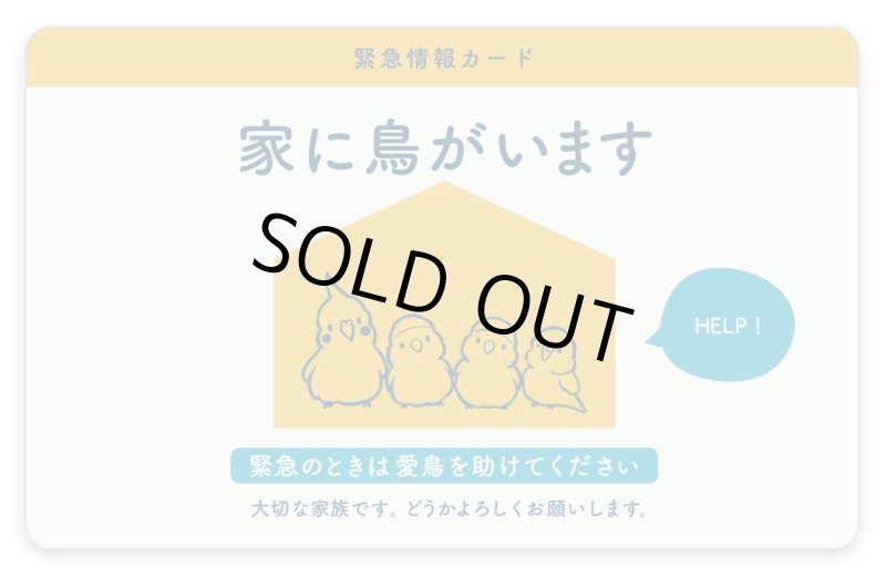 画像1: CAP! 鳥雑貨 【aoamo】鳥用緊急情報カード★ (1)