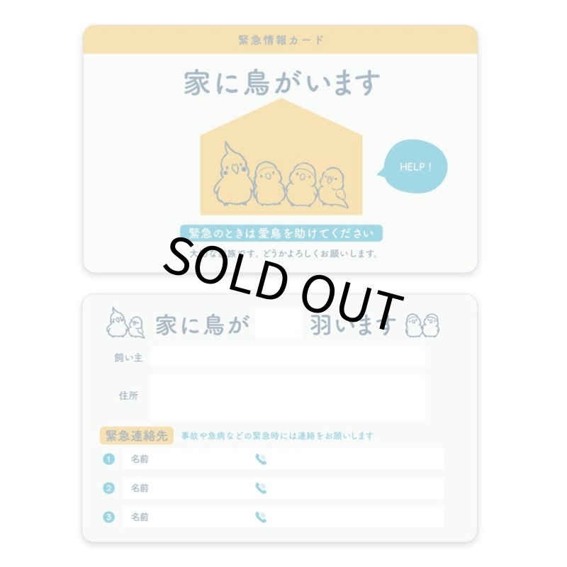 画像4: CAP! 鳥雑貨 【aoamo】鳥用緊急情報カード★ (4)