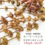画像1: 農薬・化学肥料不使用のハーブ CAP! 鳥の餌 【ホーリーバジル】フラワースティック※花穂※ 10g ＜ロング＞★ (1)