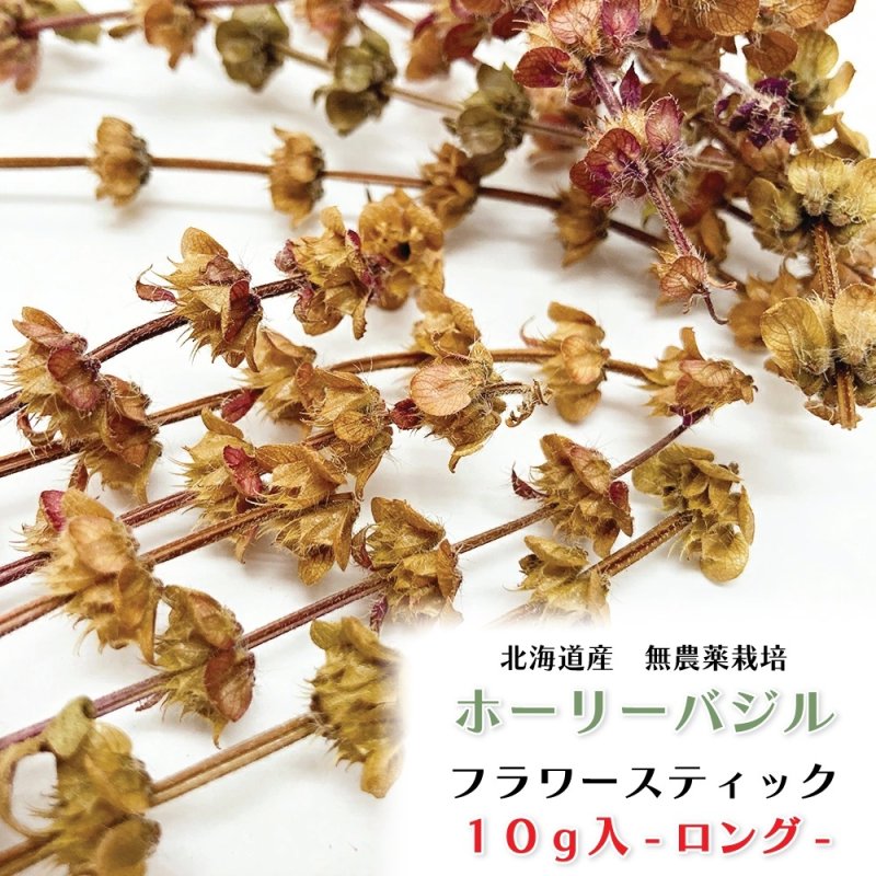 画像1: 農薬・化学肥料不使用のハーブ CAP! 鳥の餌 【ホーリーバジル】フラワースティック※花穂※ 10g ＜ロング＞★ (1)