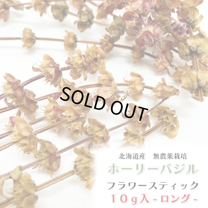 画像1: 農薬・化学肥料不使用のハーブ CAP! 鳥の餌 【ホーリーバジル】フラワースティック※花穂※ 10g ＜ロング＞★ (1)