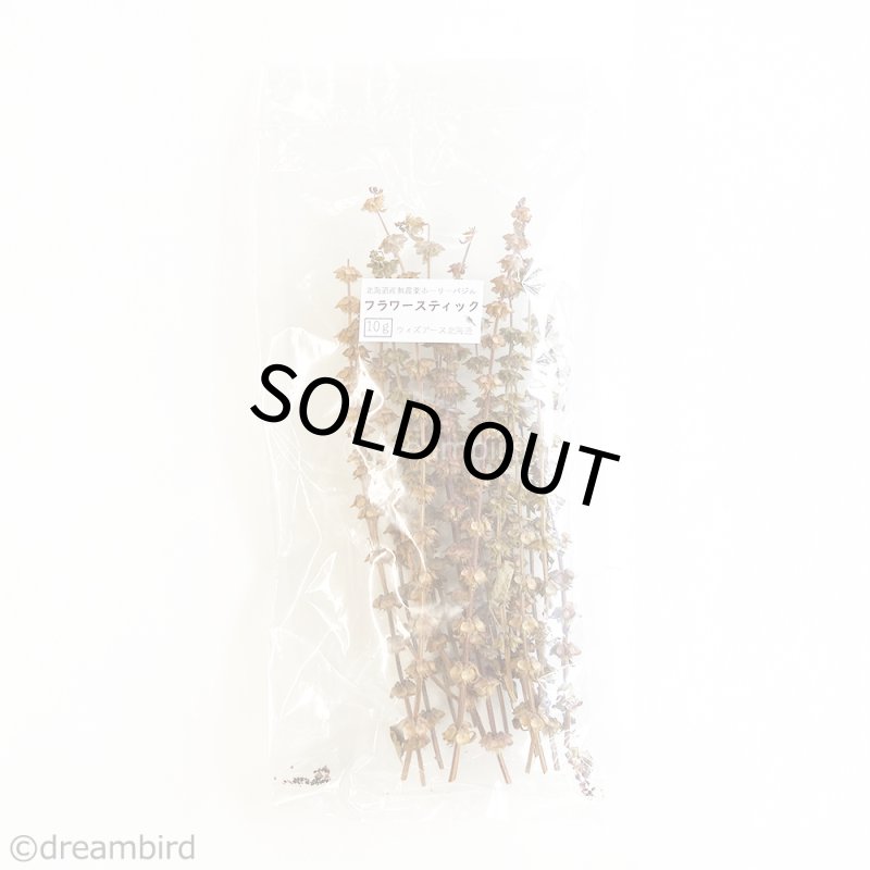 画像4: 農薬・化学肥料不使用のハーブ CAP! 鳥の餌 【ホーリーバジル】フラワースティック※花穂※ 10g ＜ロング＞★ (4)