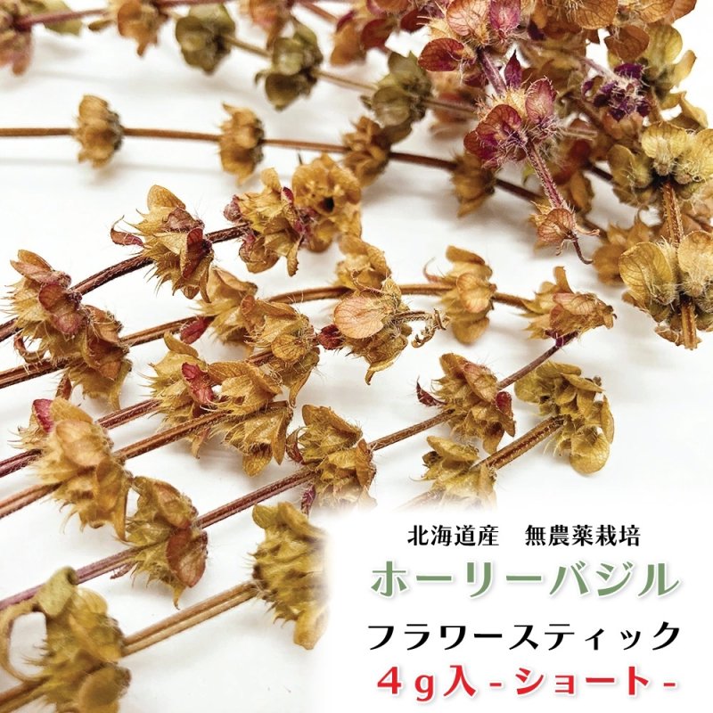 画像1: 農薬・化学肥料不使用のハーブ CAP! 鳥の餌 【ホーリーバジル】フラワースティック※花穂※ 4g ＜ショート＞★ (1)
