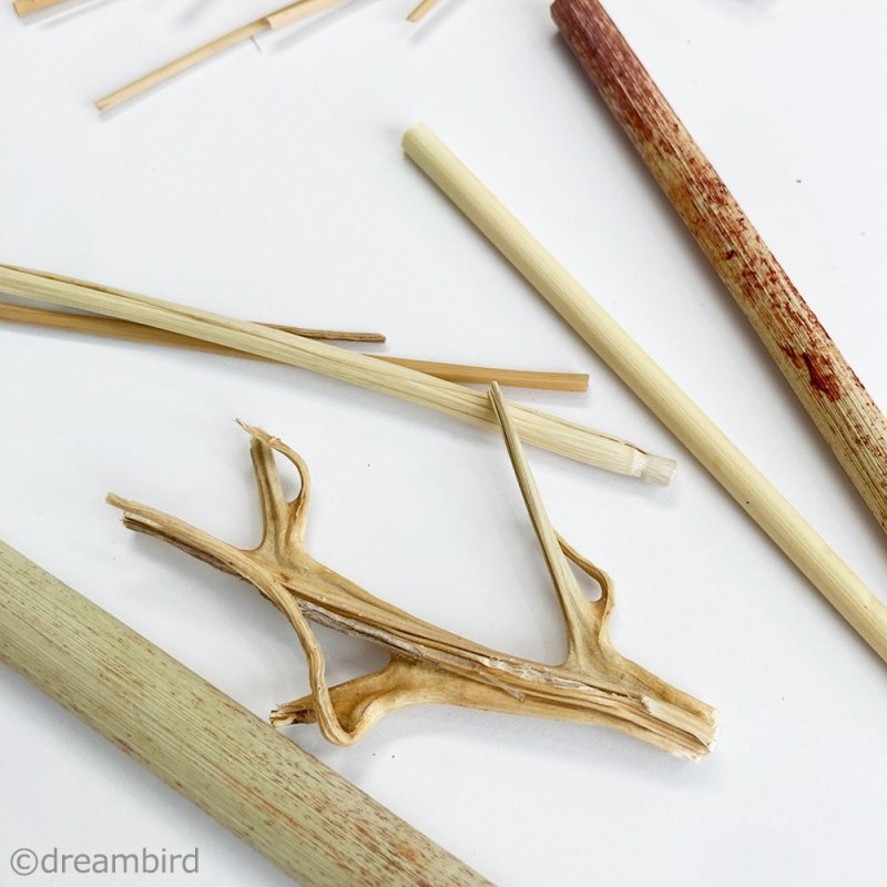 画像3: 【国内産】農薬不使用栽培 カット茎ミックス 30g ★ (3)