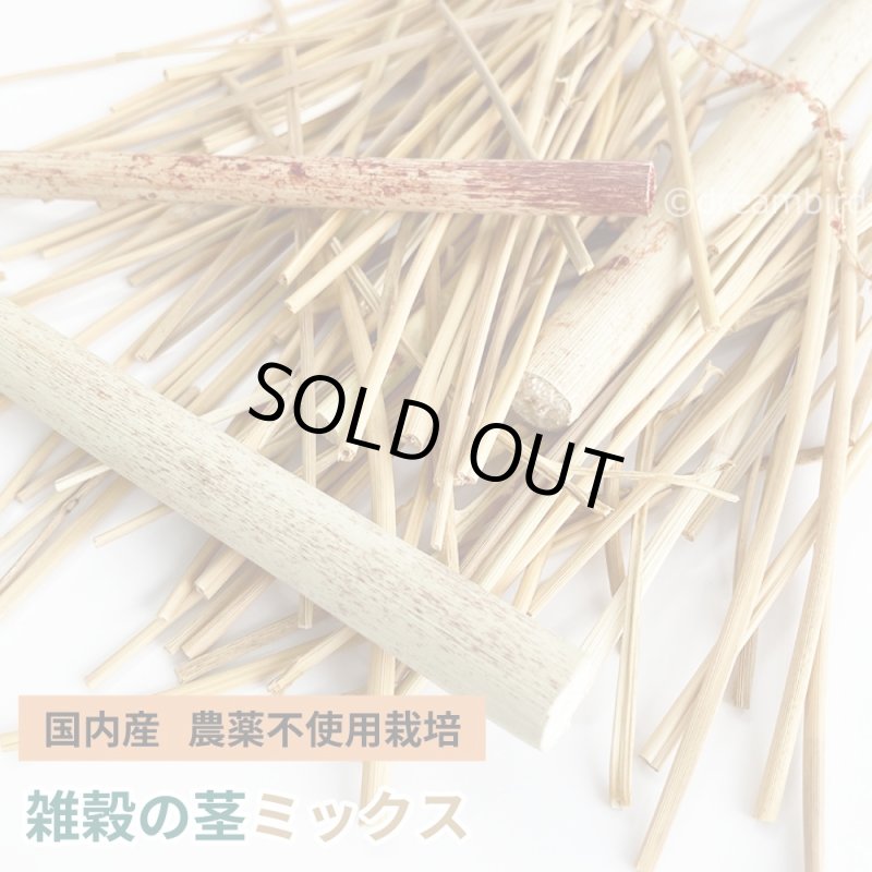 画像1: 【国内産】農薬不使用栽培 カット茎ミックス 30g ★ (1)