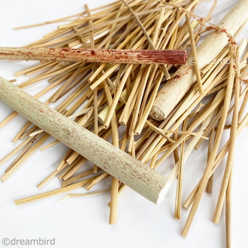 画像2: 【国内産】農薬不使用栽培 カット茎ミックス 30g ★ (2)