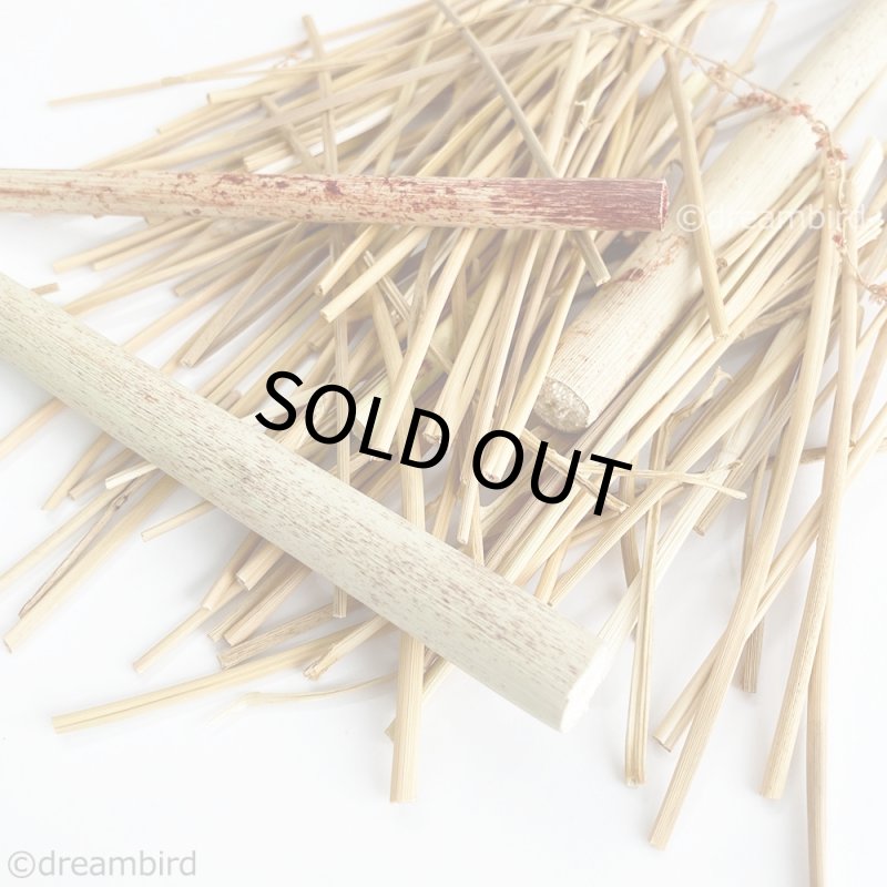 画像2: 【国内産】農薬不使用栽培 カット茎ミックス 30g ★ (2)