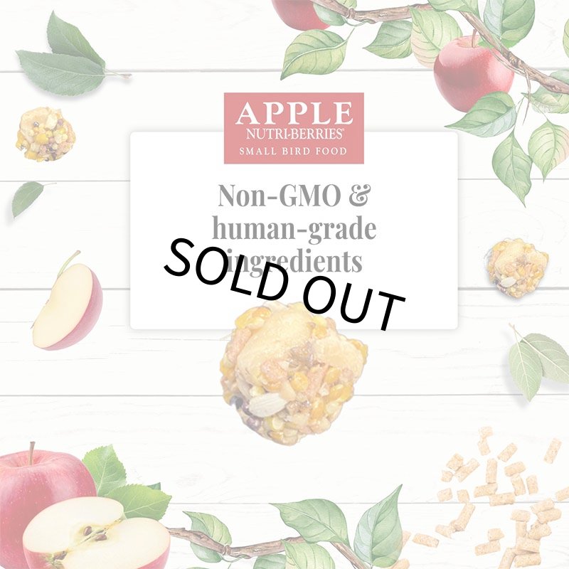 画像3: CAP! 鳥の餌 賞味期限2026/12/19 ラフィーバー アップル ニュートリベリー パロット 10oz (3)