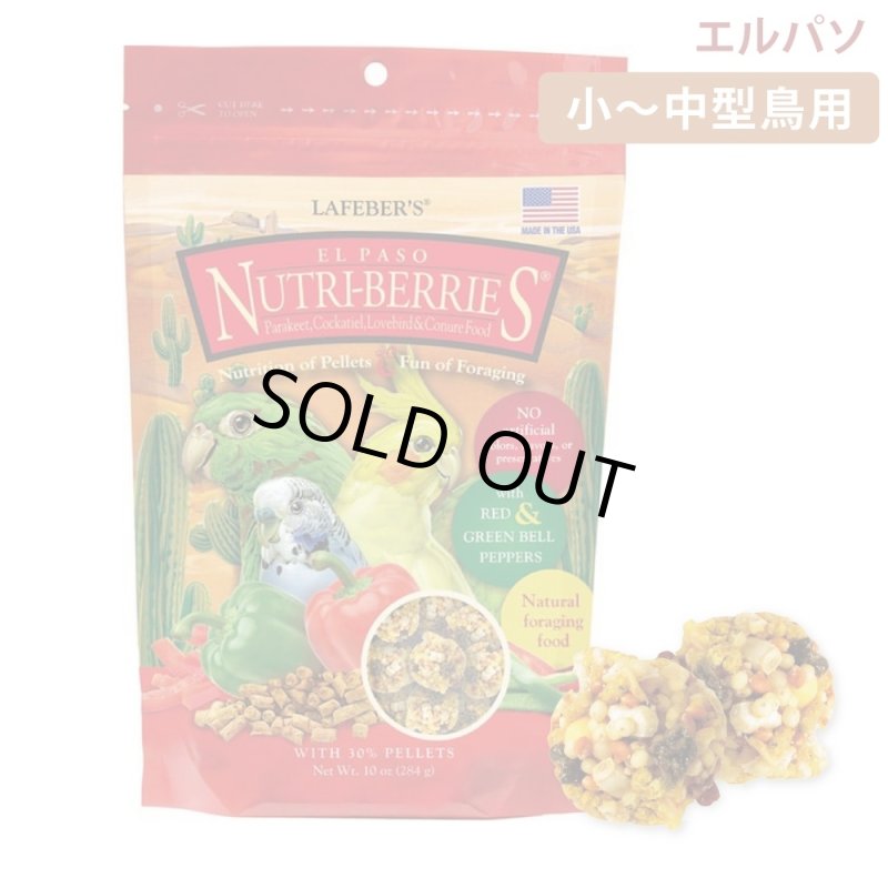 画像1: 近日入荷予定！CAP! 鳥の餌 賞味期限 ラフィーバー エルパソ スモールバード10oz/284g (1)