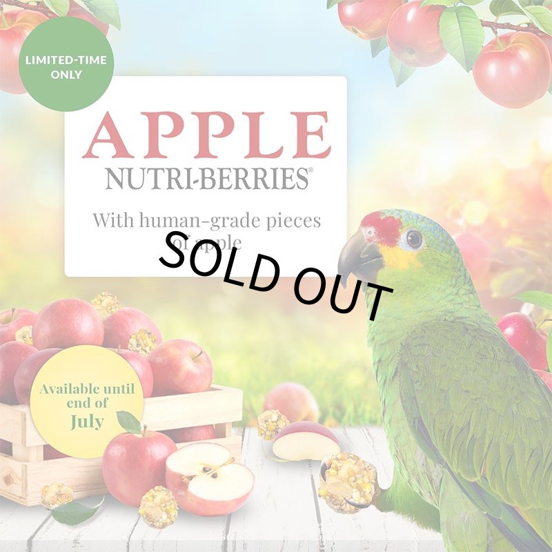 画像2: CAP! 鳥の餌 賞味期限2026/12/19 ラフィーバー アップル ニュートリベリー パロット 10oz (2)
