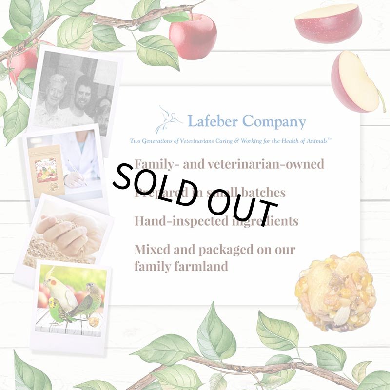 画像5: CAP! 鳥の餌 賞味期限2026/12/19 ラフィーバー アップル ニュートリベリー パロット 10oz (5)