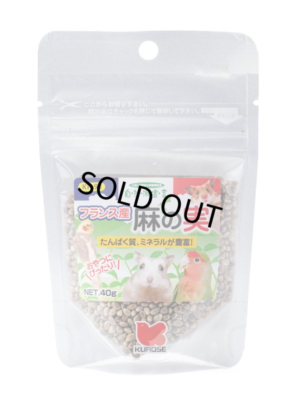 画像1: CAP! 鳥の餌 賞味期限2027/6/30【黒瀬ペットフード】自然派宣言 フランス産麻の実 40g (1)