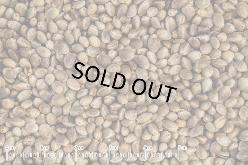 画像2: CAP! 鳥の餌 賞味期限2027/6/30【黒瀬ペットフード】自然派宣言 フランス産麻の実 40g (2)