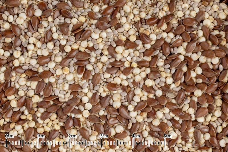 画像2: CAP! 鳥の餌 賞味期限2026/8/31【黒瀬ペットフード】自然派宣言 スーパーフード4種ブレンド 30g (2)