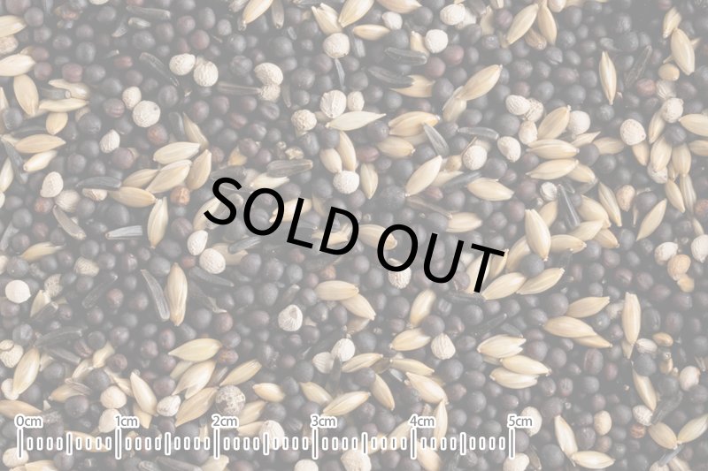 画像2: CAP! 鳥の餌 賞味期限2027/2/28黒瀬ペットフード 自然派宣言 ハイカロリーシードミックス 40g (2)