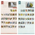 画像2: 2026年版365days... 鳥どりカレンダー ＜壁掛け＞★ (2)
