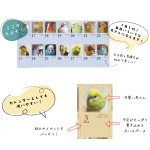 画像3: 2026年版365days... 鳥どりカレンダー ＜壁掛け＞★ (3)