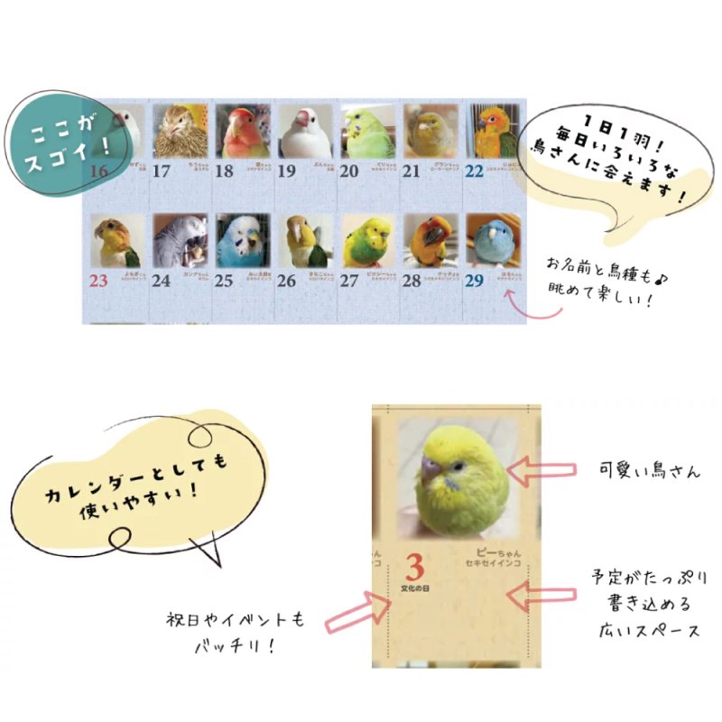 画像3: 2026年版365days... 鳥どりカレンダー ＜壁掛け＞★ (3)