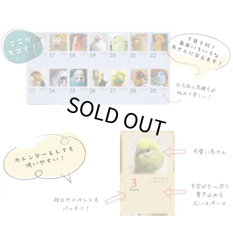 画像3: 2026年版365days... 鳥どりカレンダー ＜壁掛け＞★ (3)