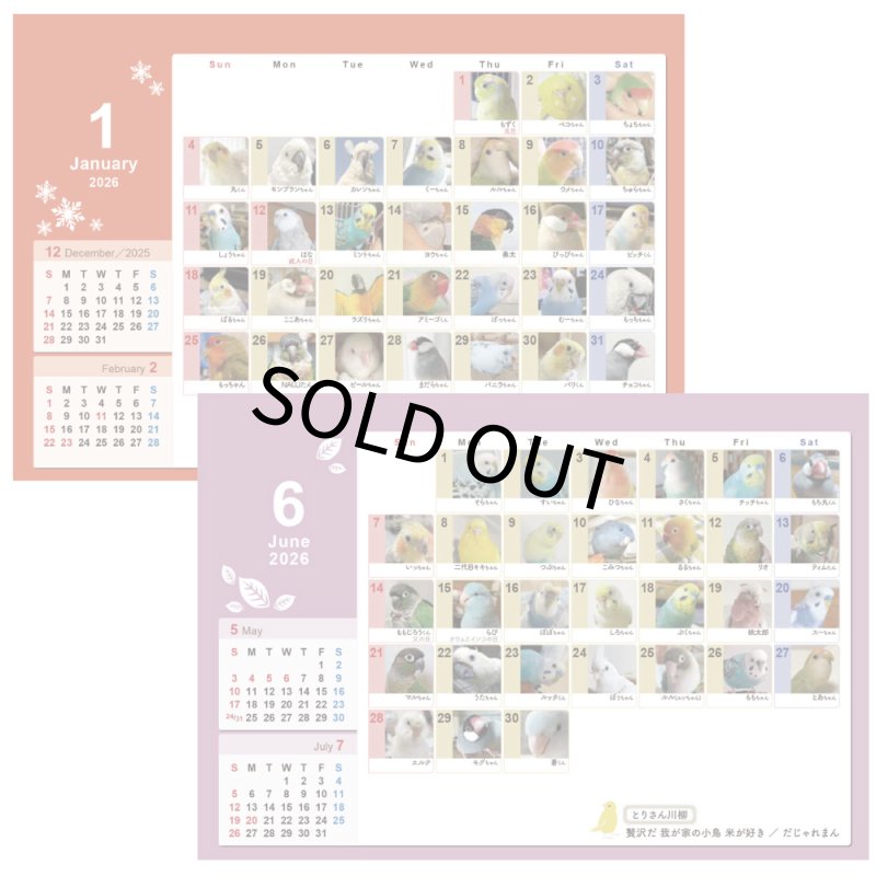 画像2: 2026年版365days 鳥どりカレンダー ＜卓上タイプ＞★ (2)