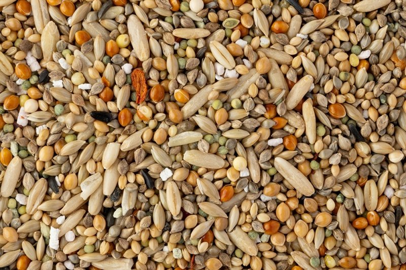 画像3: ※大袋※CAP! 鳥の餌 賞味期限2027/1/31  黒瀬ペットフード マニア セキセイインコ専用 3L(約2.1kg) (3)