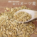 画像1: CAP! 鳥の餌 賞味期限2027/3/31※MO300※【農薬不使用栽培】殻つきオーツ麦 300g★ (1)