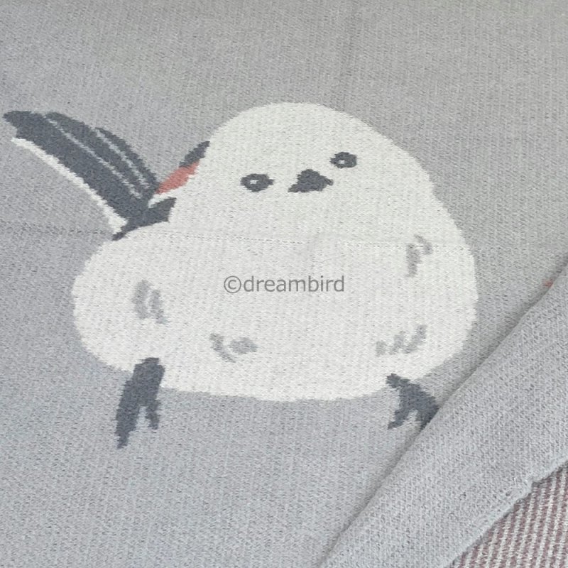 画像2: 【フレンズヒル】ムームーティット　ブランケットＳ★ (2)