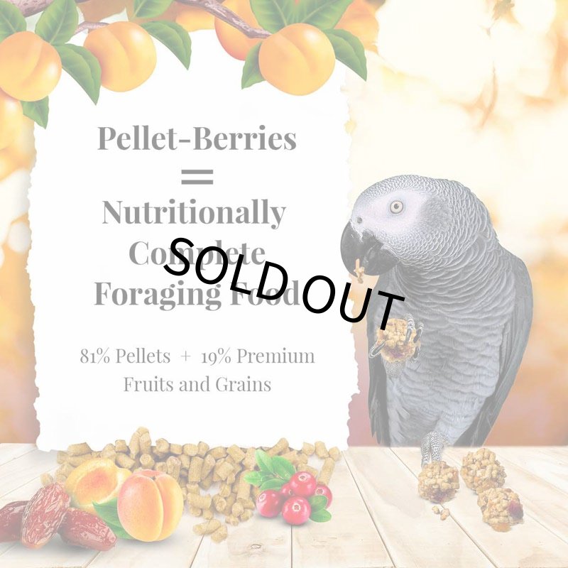 画像4: CAP! 鳥の餌 賞味期限2026/10/2 ラフィーバー ペレットベリー パロット 10oz（284g） (4)