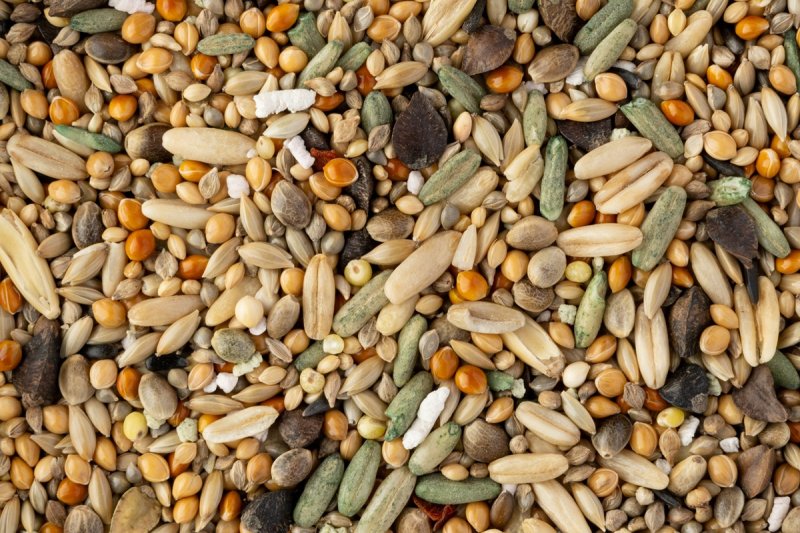 画像3: ※低脂肪※CAP! 鳥の餌 賞味期限2027/2/28 黒瀬ペットフード マニア 中型インコ専用 低脂肪タイプ 1L (3)